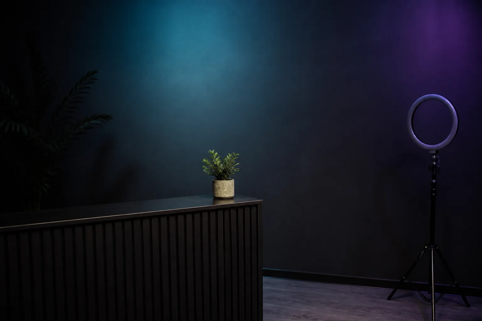 Recepción minimalista del estudio con luz coral e indigo